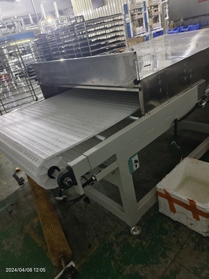 Sécheuse à micro-ondes sous vide de 17530 mm × 1600 mm × 1100 mm pour un contrôle précis de la température à 80 °C