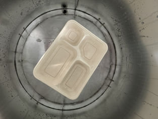 Ligne de production de revêtement intérieur de plateaux de vaisselle de sécurité alimentaire à grande vitesse pour le moulage de la pâte