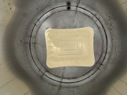 Ligne de revêtement par centrifugation à 24 stations pour l'imperméabilisation de moulages de pâte à papier avec système de séchage à haute efficacité pour la vaisselle en bagasse et en bambou