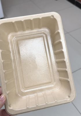 Ligne de revêtement par centrifugation interne pour produits moulés en pâte à papier - Machine de revêtement de précision entièrement automatique