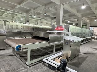 Système de stérilisation et de séchage par micro-ondes de qualité alimentaire | Préserver la nutrition et améliorer la durée de conservation