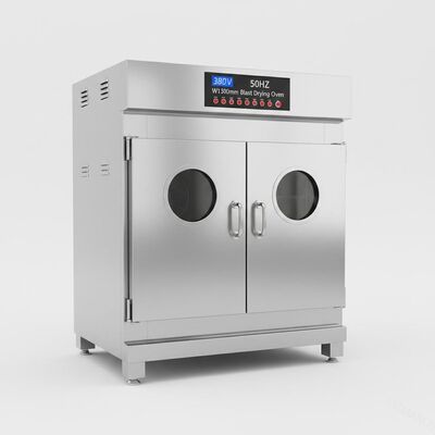 porte Constant Temperature Oven, étuve de 380V 50HZ deux de souffle de W1300Mm