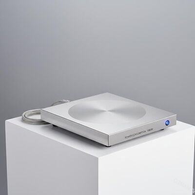 Plaque en acier inoxydable avec consommation et consommation de puissance de 1000 W
