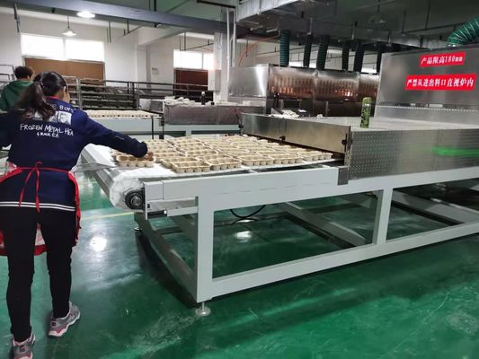 Precision Microwave Drying Machine for Molded Pulp | High-Quality Finish & Uniform Drying