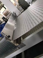 Déshydrateur à micro-ondes de 85 kW pour le moulage de la pâte