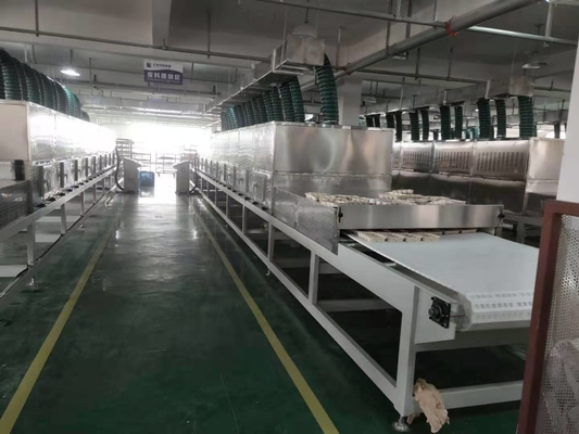 Equipement de séchage sous vide à micro-ondes personnalisé de 30 à 50 kW Capacité 1 à 10 T/H