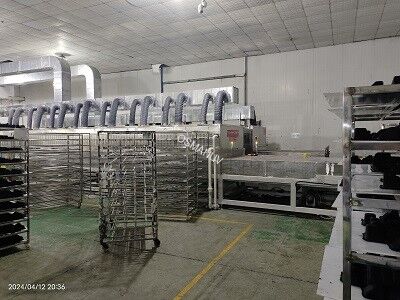 1-10T/h Capacity Microwave Vacuum Drying Equipment With 95% Water-Reducing Rate