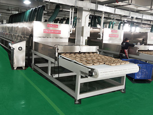 Déshydrateur à micro-ondes de 85 kW pour le moulage de la pâte